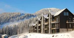 Sadelbyn Fjällhem - Undersåker