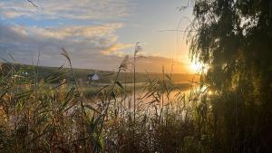 Stonehaven River Lodge