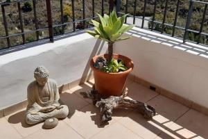 Chic Beachfront Apartment