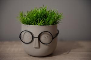 Spacious renovated flat 10min to metro station (KOL_71)