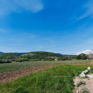 Maisons de vacances Le Cabanon des Lavandes entre Mont Ventoux et Luberon : photos des chambres