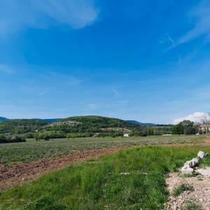 Maisons de vacances Le Cabanon des Lavandes : photos des chambres