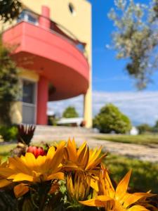 Vacation House in Agiokampos