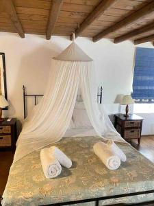 COZY CYCLADIC HOME , close to Ornos beach