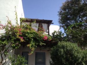 COZY CYCLADIC HOME , close to Ornos beach