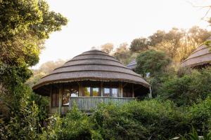 Mabibi Beach, Elephant Coast, Mabibi Camp, South Africa.