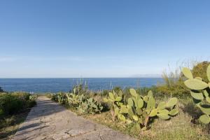 Water Front Scopello