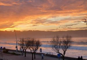 Appartements Appartement bord de mer tres lumineux 2/4 pers. - Vue inoubliable : photos des chambres