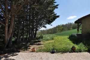 Maisons d'hotes L'Ermitage : photos des chambres