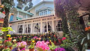 Ivanhoe Hotel (A Heritage Property)