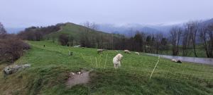 Appartements Les Bottieres 73300, T3 50m2, pied de piste 4 a 8 pers : Appartement 2 Chambres