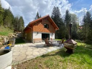 Das Hexenhaus: Haus im Wald - Rinchnach