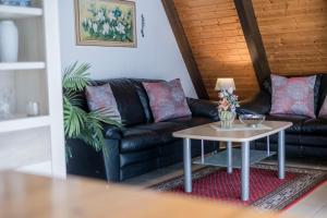 Ferienwohnpark Immenstaad am Bodensee Nurdachhaus Typ 8 NDT 111