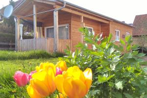 Tiny-Ferienhäusle Casa Wendy