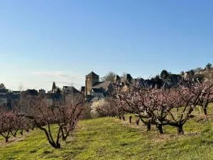 Maison de village avec vue 4/5 personnes Lou Rouchou - Allassac