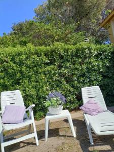 Villa Teresa sul mare img25