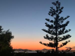 100 Sunshine Beach - Alicante Holiday - 3hvězdičkové hotely ve městě La Mata