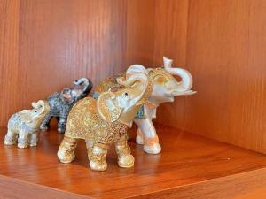 The Sunny Space of Varna