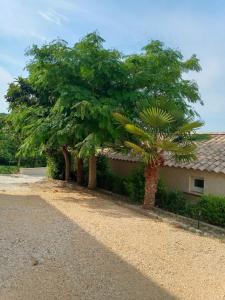 Maisons de vacances Mas Pied Blanc : photos des chambres