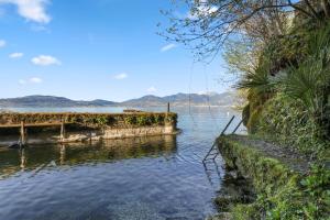 Appartements Splendide logement avec vue plongeante sur le lac : photos des chambres