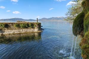 Appartements Splendide logement avec vue plongeante sur le lac : photos des chambres