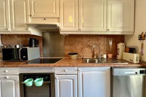 Beautiful flat with terrace near Croisette