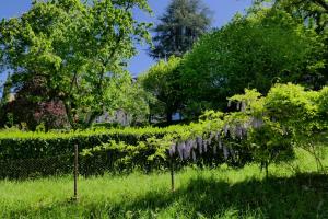 Villas L'ecrin de Sarlat : photos des chambres