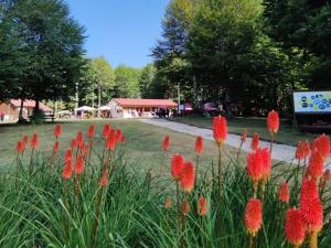 Orme nel parco - Villaggio Grechi