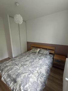 Appartements Appartement cosy, 4 pers, proximite gare : photos des chambres