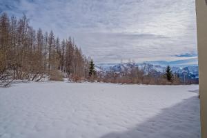 Appartement cosy 1 chambre 4 pers face pistes 08