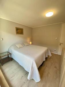 Acogedor y agradable Depto en Ñuñoa