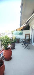 Zennova #9 City Center Pearl