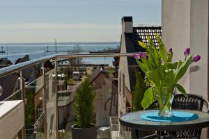 BlueApart Marina Jastarnia