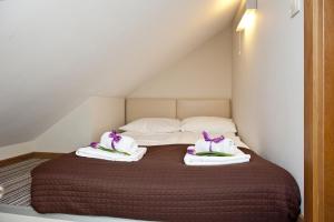 BlueApart Marina Jastarnia