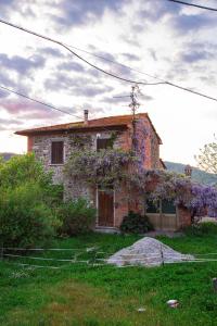 Chiantissima, Tuscany