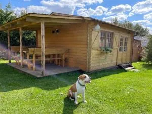 Villa de Alvydo Anykščiuose - Mikieriai