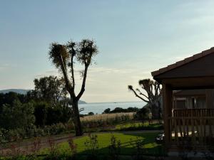 Campings Les collines de lava : photos des chambres