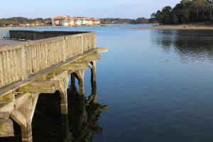 Appartements a cote Lac Marin de Port d'Albret : photos des chambres