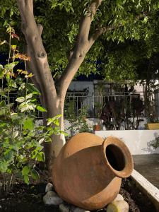 Nina’s Garden