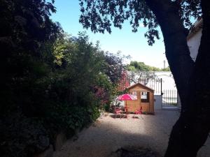 Maisons de vacances Maison entiere avec piscine, au coeur des vignes. : photos des chambres