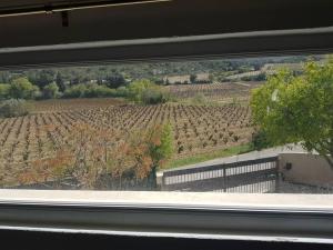 Maisons de vacances Maison entiere avec piscine, au coeur des vignes. : photos des chambres