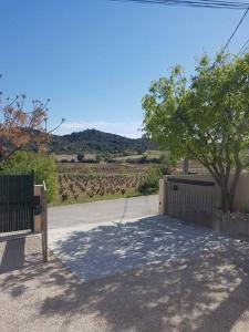 Maisons de vacances Maison entiere avec piscine, au coeur des vignes. : photos des chambres