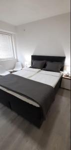 Apartman Gordana Ohrid