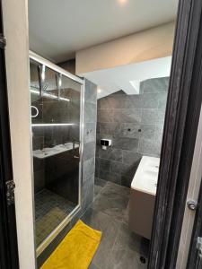 Appartements Les suites de Stanislas jacuzzi & spa : Appartement 1 Chambre