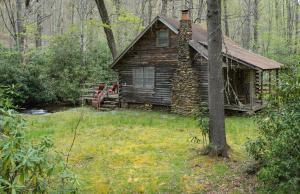 Creekside Hideaway Rustic Cabin - Secluded, Creekside Family Cabin