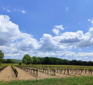 Maisons de vacances Sejour en plein coeur du Luberon : photos des chambres