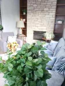 Mendoza Vintage - Godoy Cruz