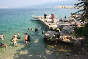 Seaside apartments with a swimming pool Silo, Krk - 21242