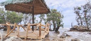 Gasa Sea Park - Travellers Inn