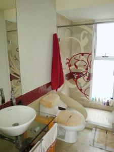 Home sweet home in CDMX near Polanco and Reforma